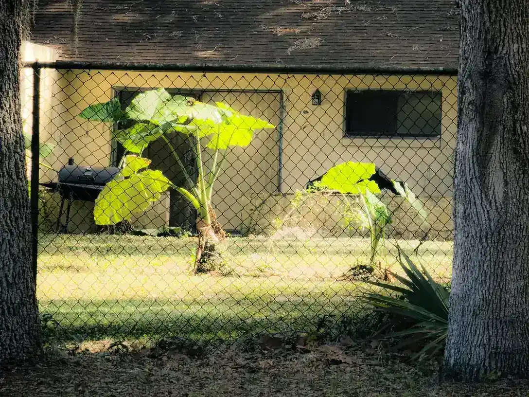 Fence Installation Florida — IWD Miami, licensed Florida contractor