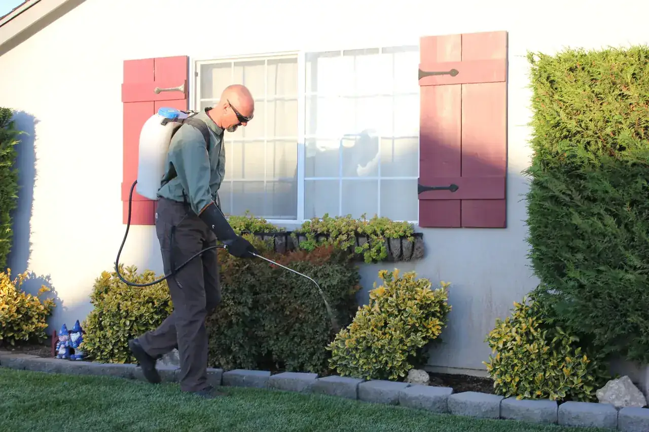 Pressure Washing Florida — IWD Miami, licensed Florida contractor