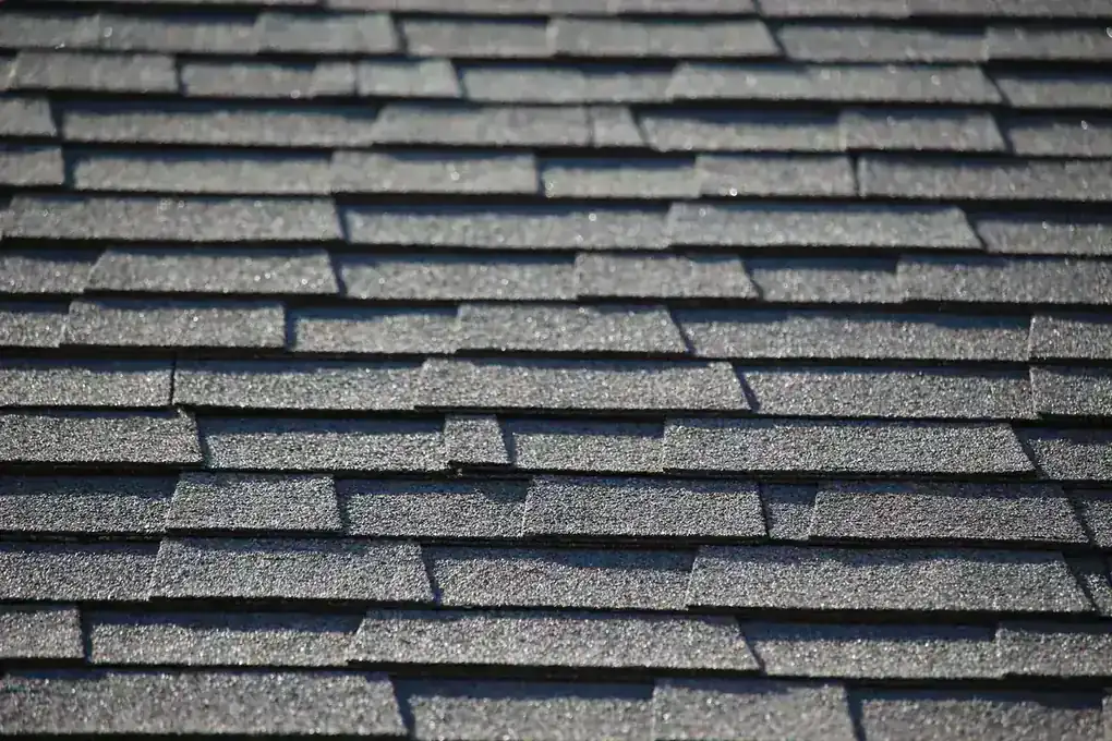 Roofer installing architectural shingles on a Florida home