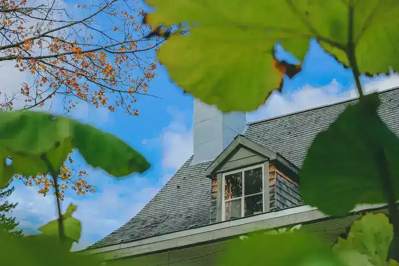 Asphalt Shingle Roofing Florida — IWD Miami, licensed Florida contractor