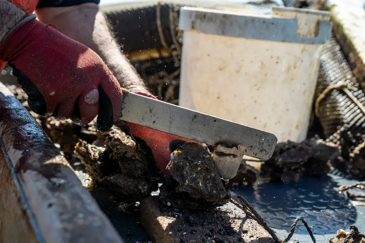 IWD Miami estimator performing on-site assessment for gutter cleaning project