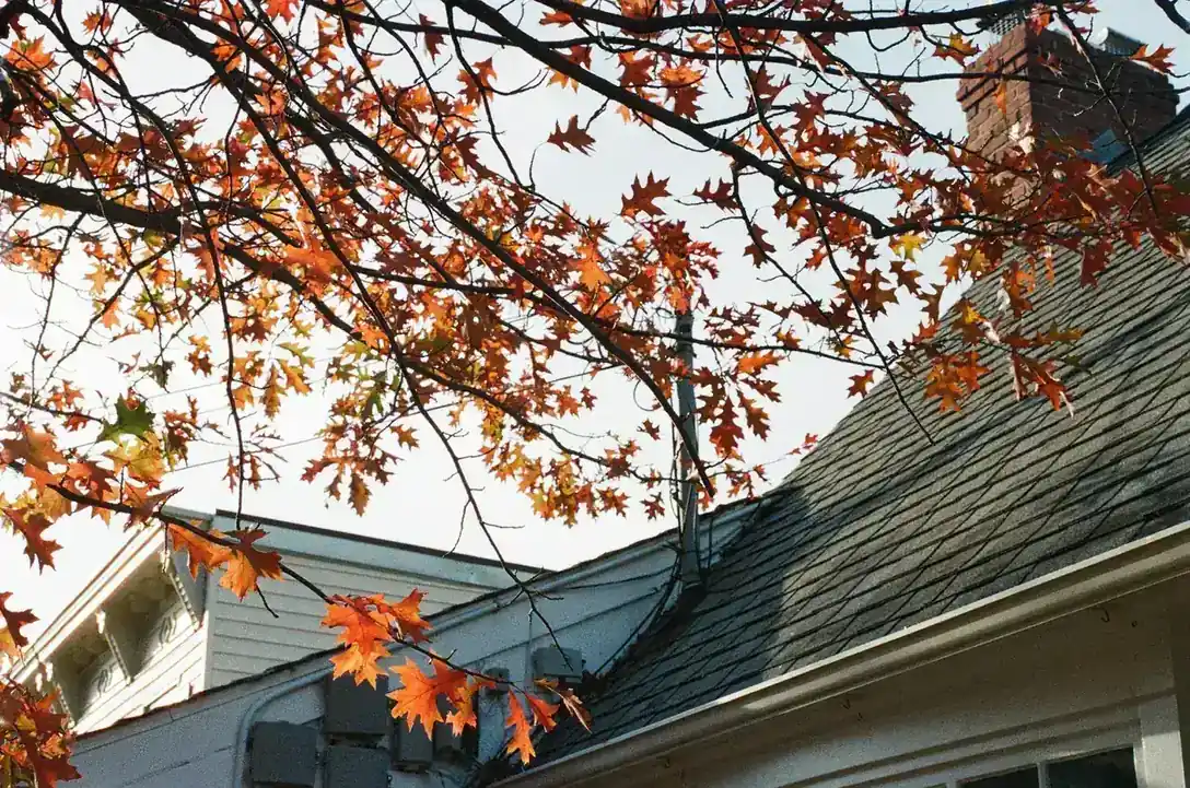 Roof Inspection Florida — IWD Miami, licensed Florida contractor