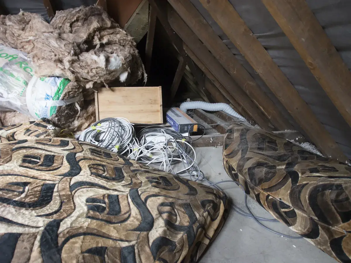 Licensed Florida contractor performing junk removal
