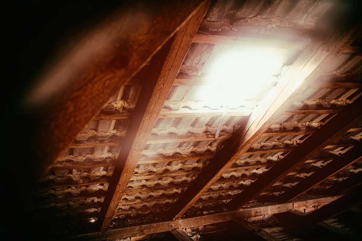 BPI-certified analyst performing attic insulation on a Florida home