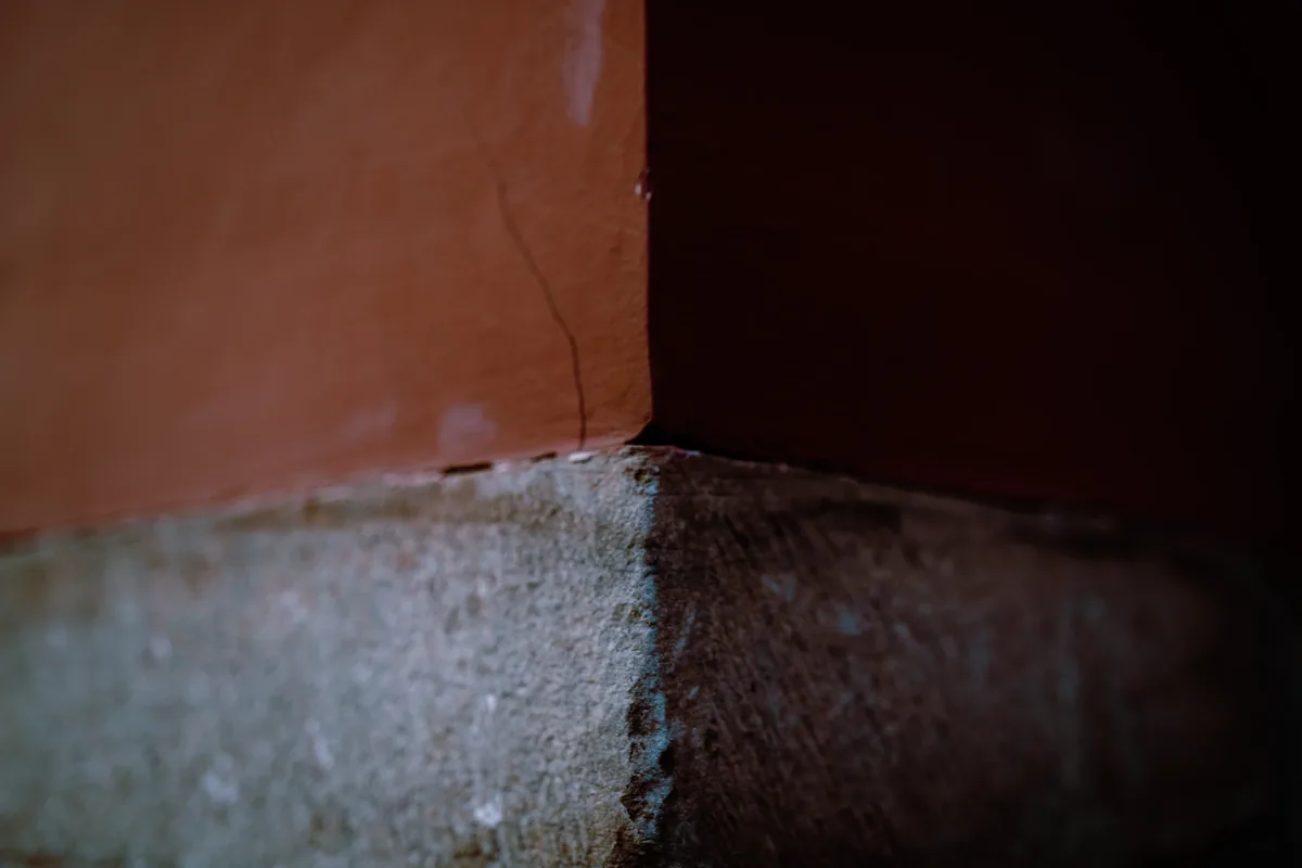 BPI-certified analyst performing wall insulation on a Florida home